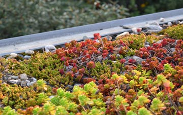 the cost of South Brewham green roof installation