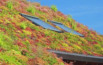 South Brewham living roof systems