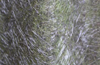 South Brewham fibreglass roof work